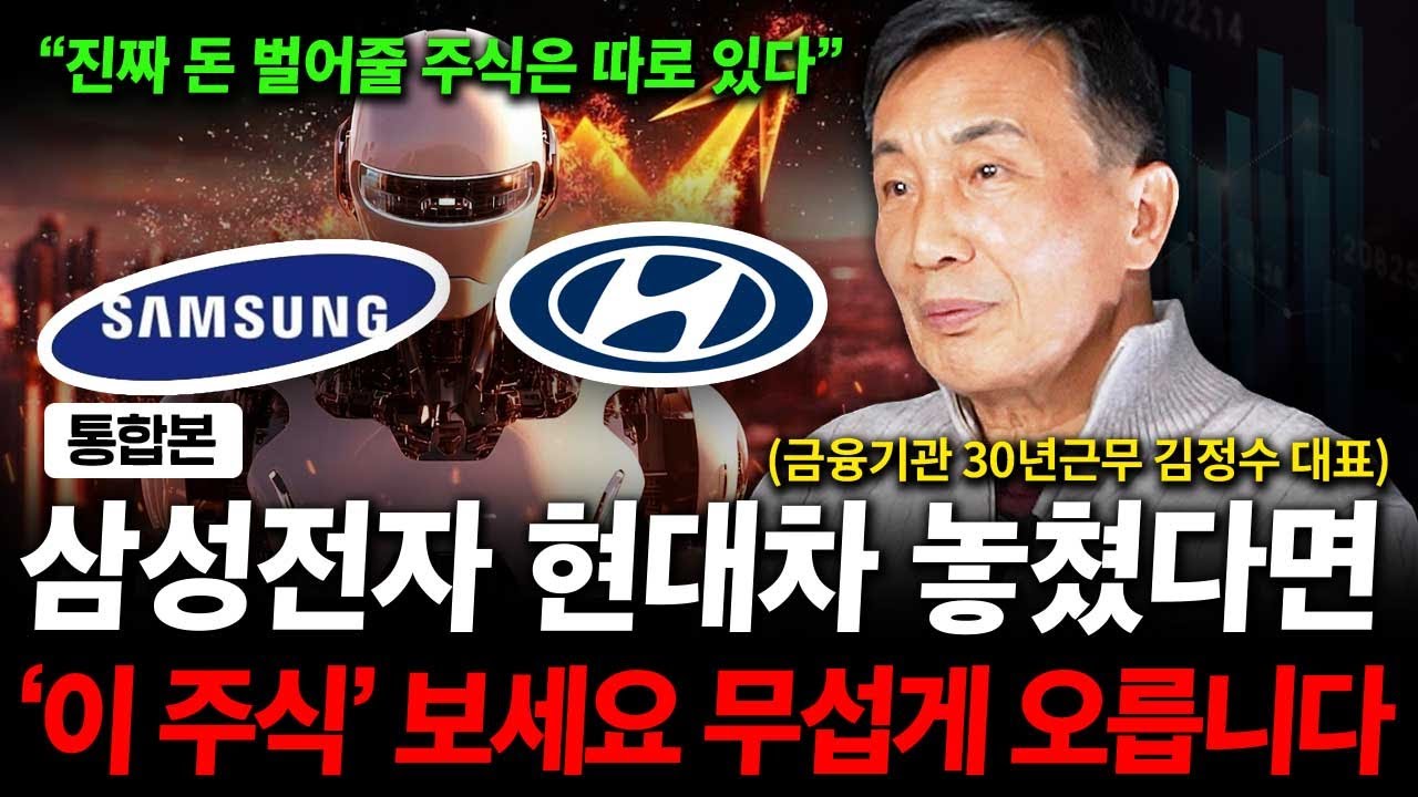 삼성전자 현대차 놓쳤다면, '이 주식' 보세요. 무섭게 오를 겁니다. ( 김정수 대표 )