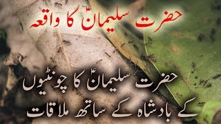 Hazrat suleman A.S history in urdu | Prophet Sulaiman in Urdu