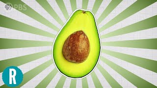 Why Are Avocados So Awesome?