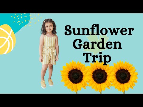 Outdoor Fun For Kids Video | Adventure In The Sunflower Garden | NonStop Azmina