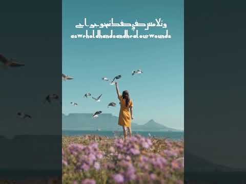 ستعود جميلة 🤍