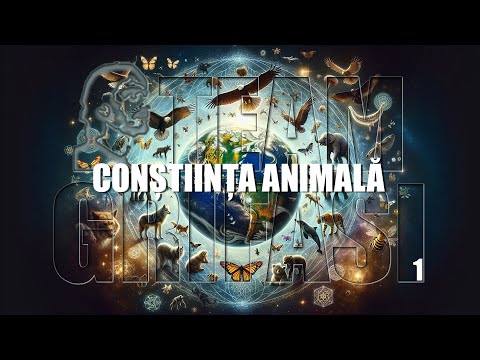 496-RO Irina, C286º P1º: CONSTIINTA ANIMALA - Hipnoperator Extern Alina Geosa, metoda Grifasi