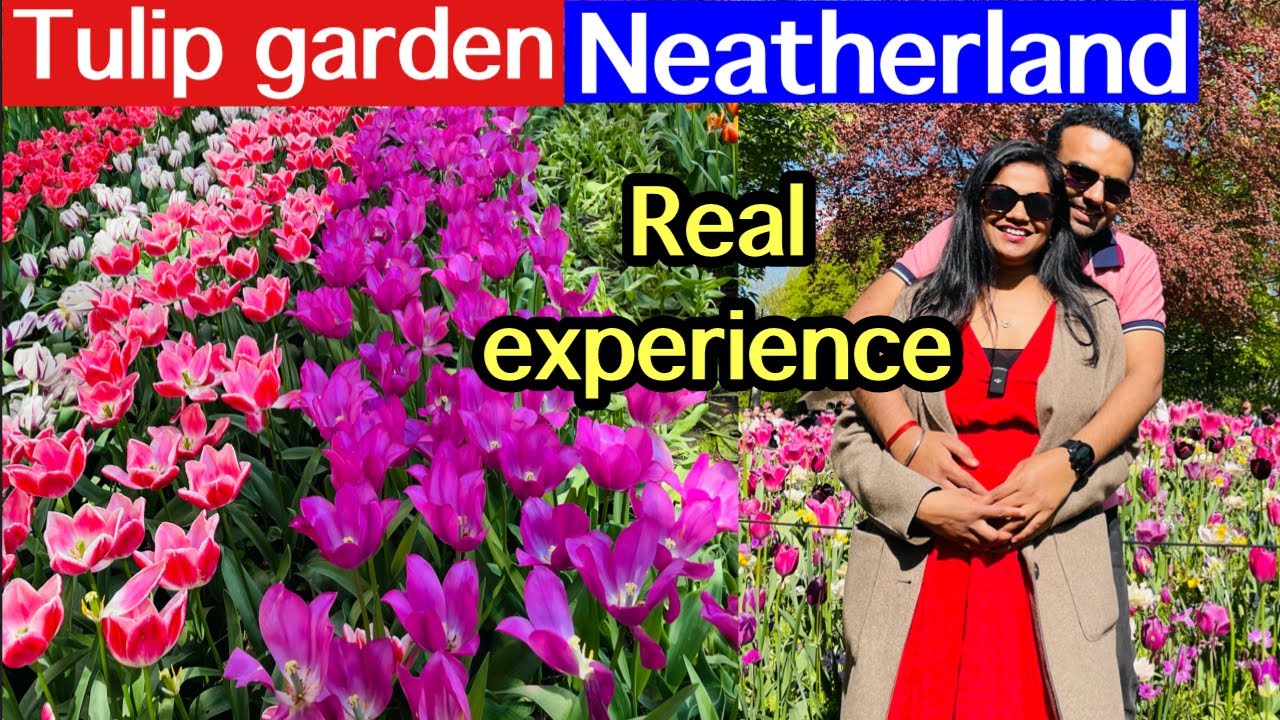 Join a duo as they journey to Keukenhof Gardens.