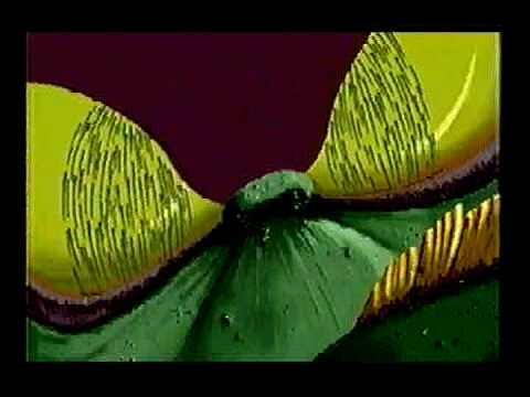 Braindead 13 - Fritz Enters Beast Mode