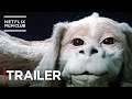 The NeverEnding Story | Original Trailer | Netflix