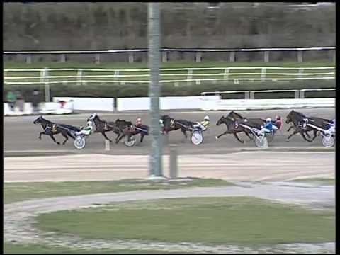 Trotto 08/02/2015 - 2° corsa