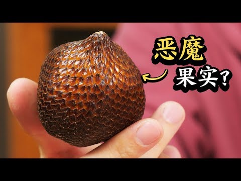 Devil Fruit？——Salak review 这个像龙蛋的东西是恶魔果实吗？闻起来特别有内味儿丨蛇皮果丨柴犬老丸子 Lao Wanzi