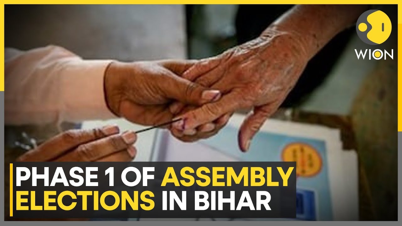 Bihar Assembly Elections Phase 1: 3.75 Crore Voters to Decide Fate of 1,314 Candidates | WION