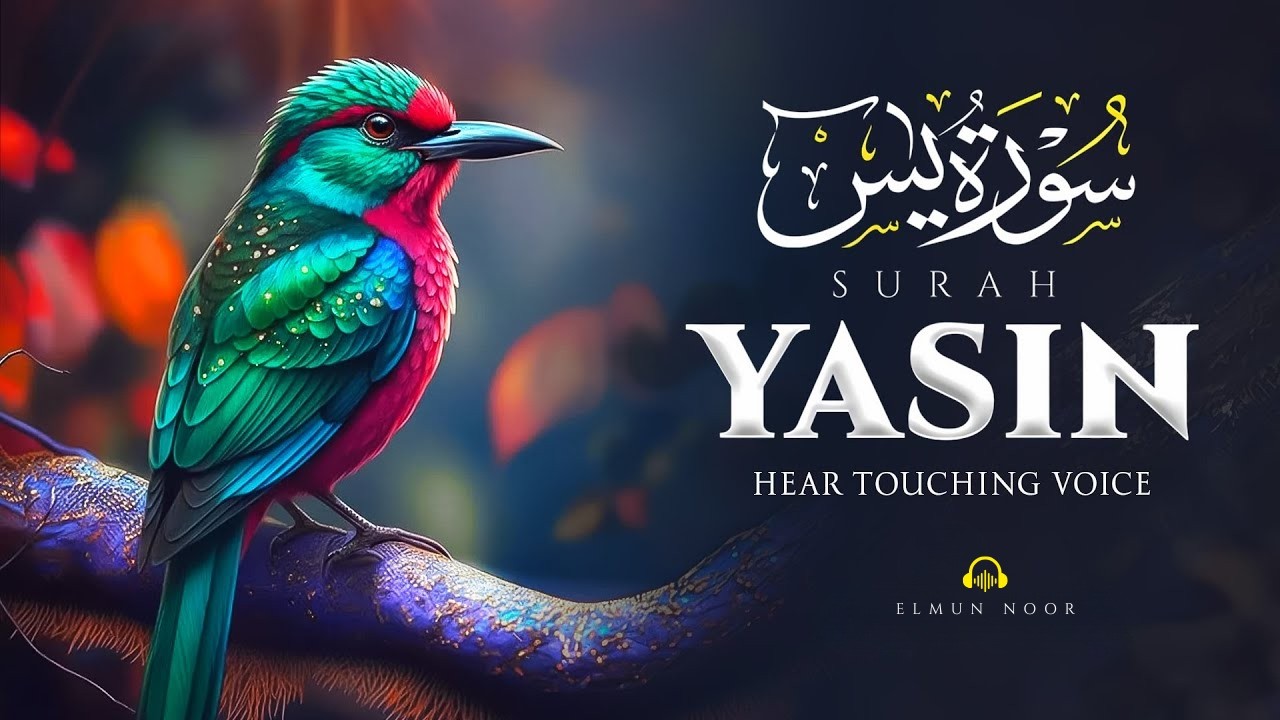 সূরা ইয়াসিন | মাহমুদ হুযাইফা | Quran Tilawat | Surah Yaseen | Mahmud Huzaifa | Elmun Noor