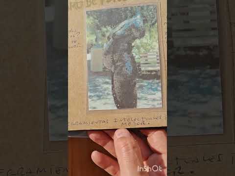 Audiolibro: Fotos Conceptuales -Autor: Robinson Navarro - Caldera Atacama Chile.🌶 🇨🇱 47pag. Original