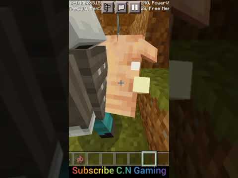 2 Hoglin Vs 1 Vindicator in minecraft @C.N Gaming #Shorts