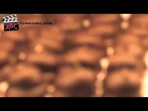 Schaaf Torsten  Bäckerei Konditorei in Berlin