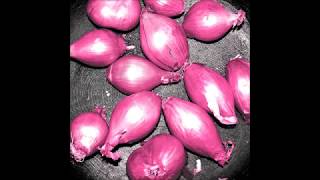 Ty Segall - Talkin&#39; (Alt. Version)