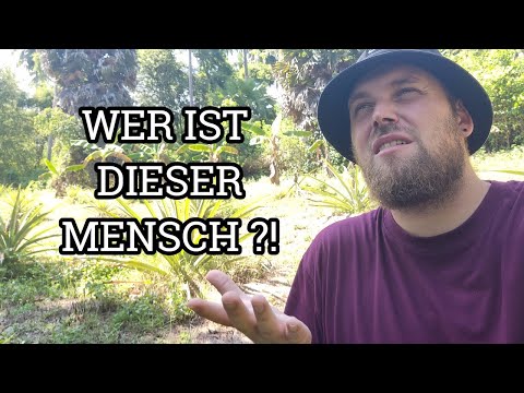 Kognitive Dissonanz: Ist dein Partner gut oder böse ?