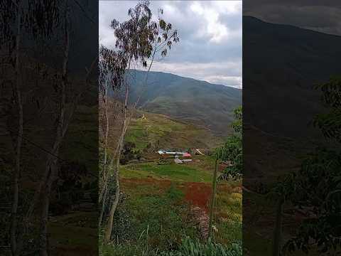 ✨Historia hecha canción💫. "✅🍃🏞️Caserío de Parashapampa Yarowilca Huánuco