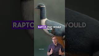 #dinosaurs #dino #paleontology #paleontologist #jurassicworld #jurassicpark #fossils #fossil