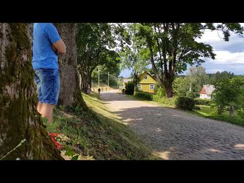 Plento Taure 2018, Semeliskes, B grupe, bruko ikalne, finisas