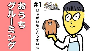 じゃがいもとさつまいも＃１「おうちグルーミング」