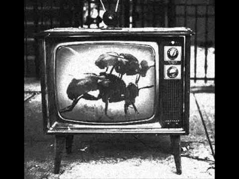 JAN AG  -  FLY (the pleasures of my filth)