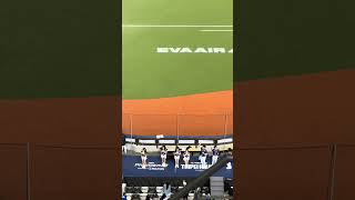 【CT AMAZE】PREMIER12 台湾VSドミニカ@台北大巨蛋20241114 #台湾チア #cheerdance #cheerleading #amaze #啦啦隊 #premier12