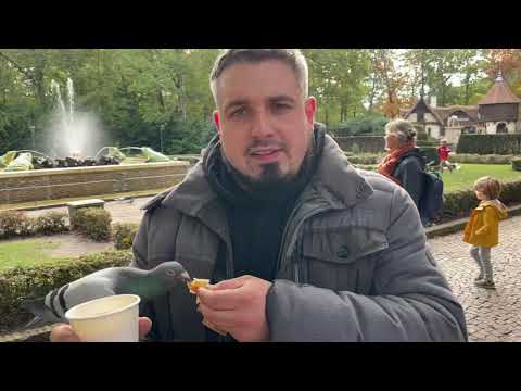 Efteling - Stephen der Taubenflüsterer 2k21