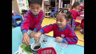 KG05 <br>大埔浸信會幼稚園 <br>天澤邨分校 <br>K3品茗（中華文化—茶）