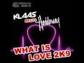 Klaas Meets Haddaway - What Is Love 2K9 (Klaas Club Mix)