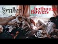 Hothouse Flowers - Sweet Marie