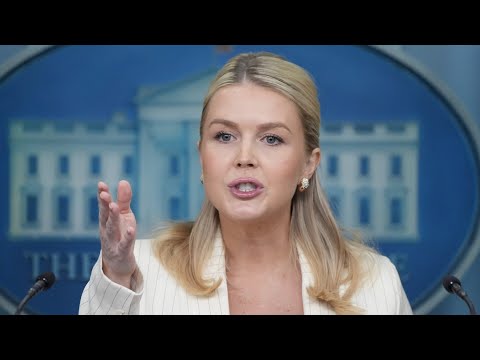 ‘Epstein was a creep’: Karoline Leavitt speaks on newly released files