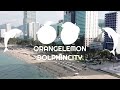 OrangeLemonDolphinCity Studios Logo 2023