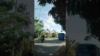 Download lagu BUS DAMRI #bus #telolet #basuri mp3 Download lagu BUS DAMRI #bus #telolet #basuri mp3