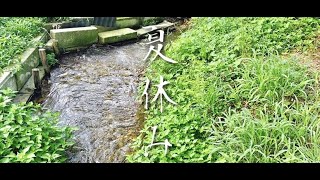 【実写】自然と戯れてきた。