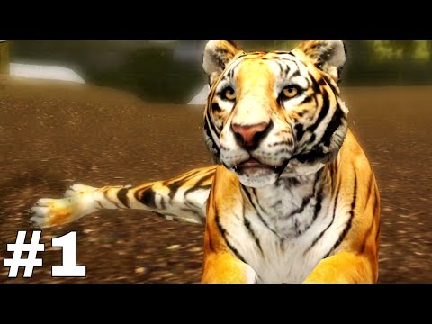 Ultimate Tiger Simulator 2 - Gameplay Part 1 - No Commentary - YouTube