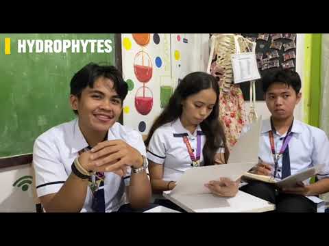 BIO GROUP STUDY BY GROP 3