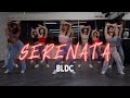 Serenata Bachata Ladies Styling Performance by BLDC