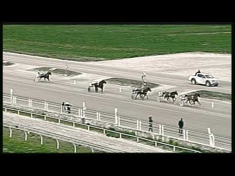 Trotto 01/03/2020 - 4ª corsa