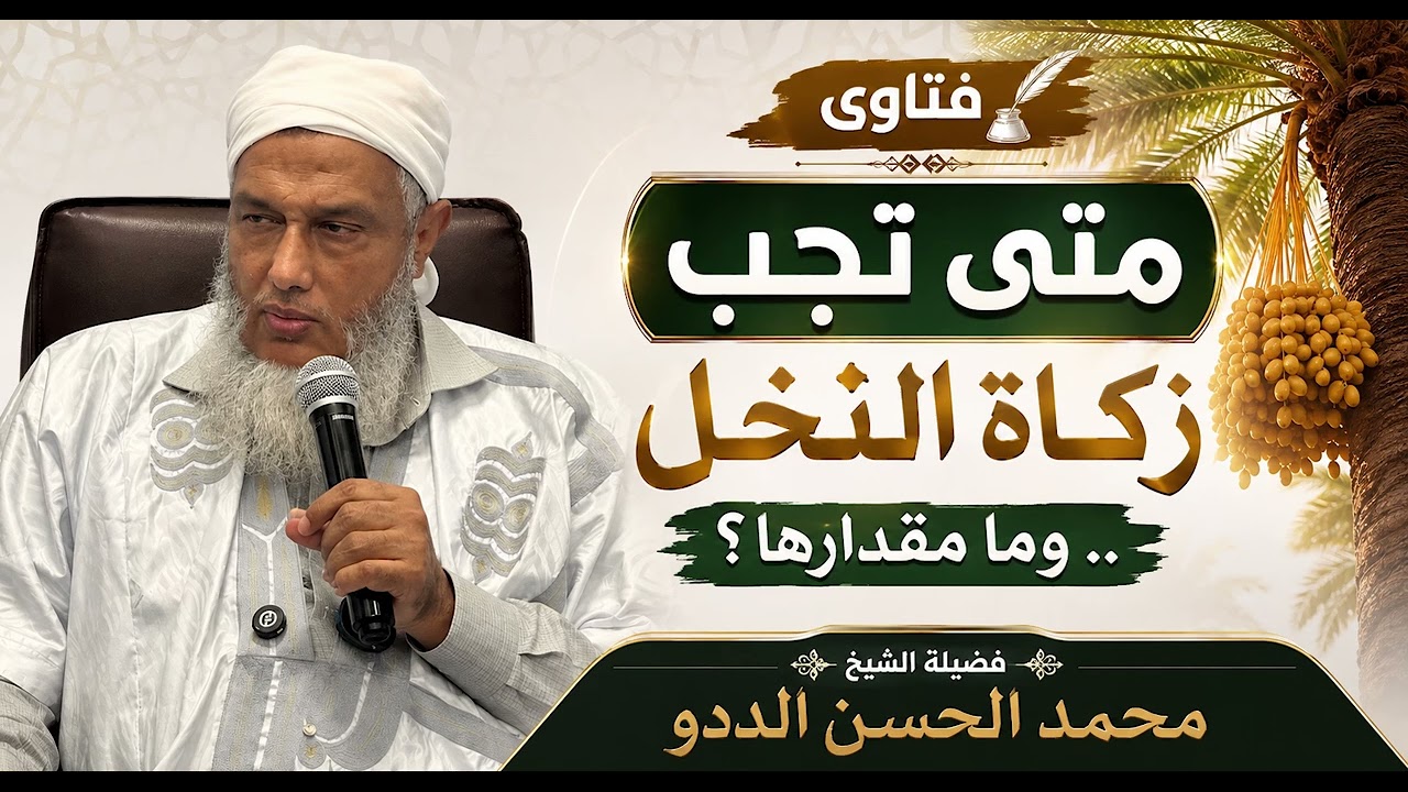 متى تجب زكاة النخل ..  وما مقدارها؟ | فتاوى فضيلة الشيخ محمد الحسن الددو