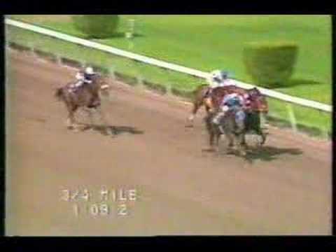 1994 Road Rush - Bud Longshot for Jim Beam Stakes