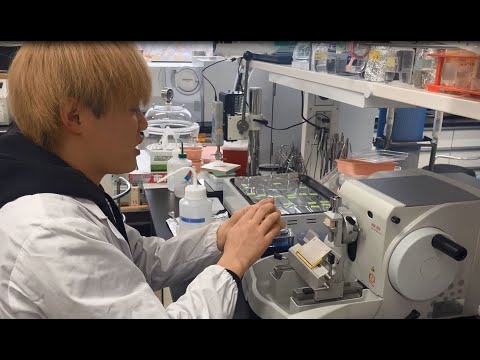 学生インタビュー　研究紹介③　摂南大学農学部　農業生産学科