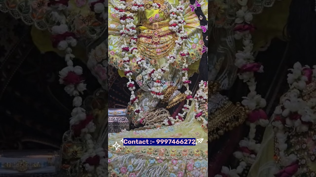 Wear the blessing of Shriji , We provide prasadi Pure Tulsi Mala with love & devotion