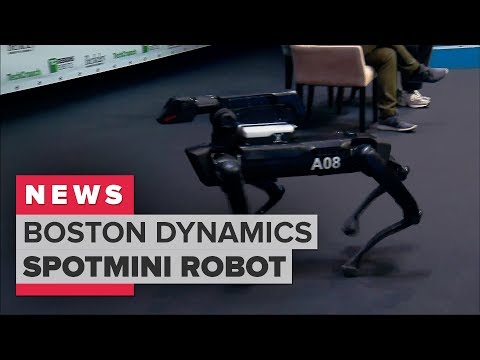 Boston Dynamics demonstrates its SpotMini robot dog (CNET News)