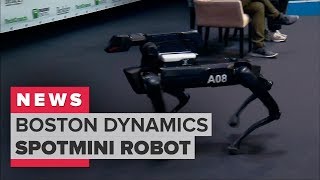 Boston Dynamics demonstrates its SpotMini robot dog (CNET News)