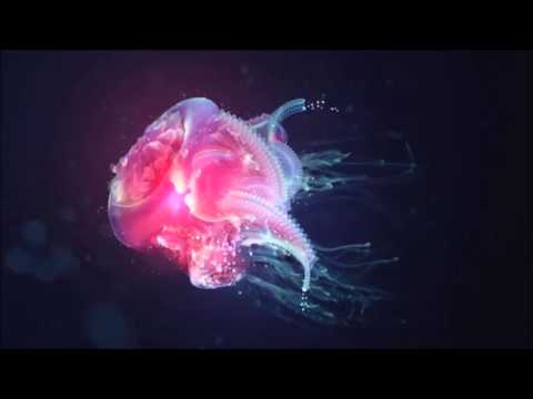 Arthur Sense - Trippy Chill Sessions February 2014