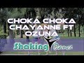 Chayanne - Choka Choka ft. Ozuna - COREOGRAFÍA FITNESS Chayanne - Choka Choka ft. Ozuna - COREOGRAFÍA FITNESS