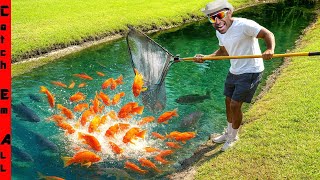 Download lagu We CAUGHT All the EXOTIC FISH in the PET STORE! mp3