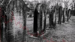 Excarnation - a Synth Metal Requiem