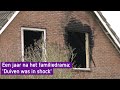 Een jaar na het familiedrama: 'Duiven was in shock'