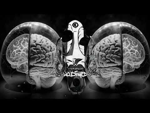 Neurotribe & AArkaos - Boltzman Brain (ACID TEKNO 2023)