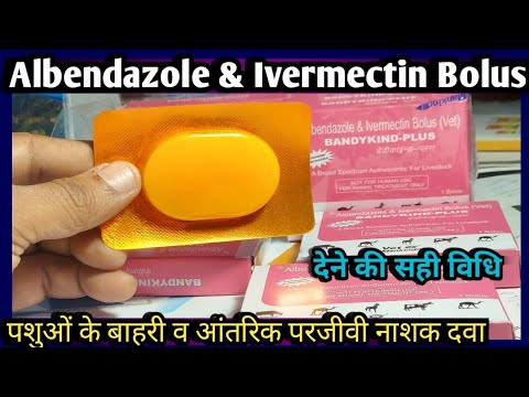Albendazole Ivermectin Bolus