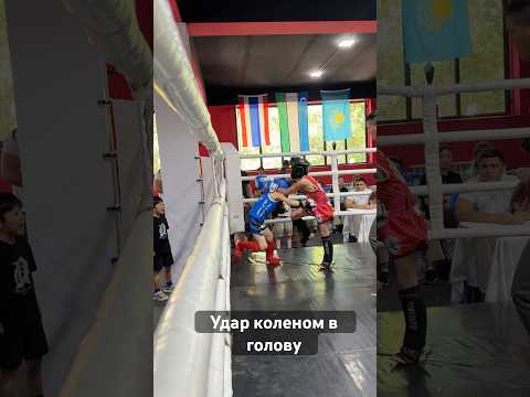 Удар колено. #boxingtraining #mma #thaiboxinglife #boxing #ufc #sports